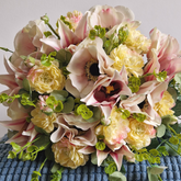 Dahlia ANDREAS H67